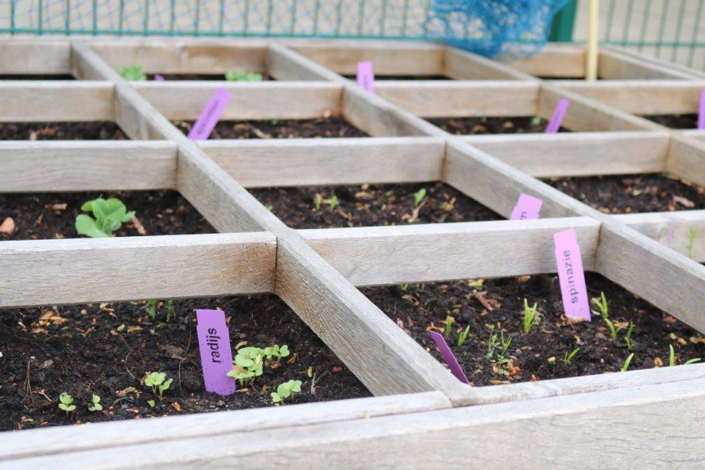 Komen jullie helpen moestuinen?